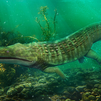 Trematosaurus brauni