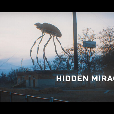 Hidden Miracles