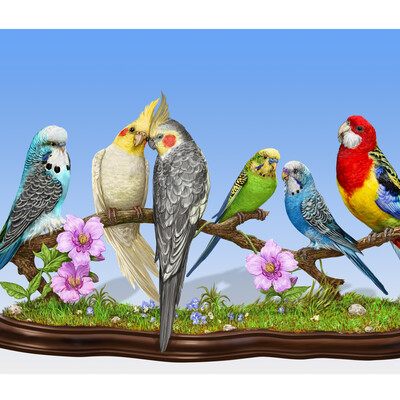 Tropical Birds