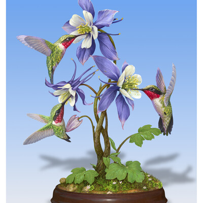 Hummingbirds on Columbine Flowers