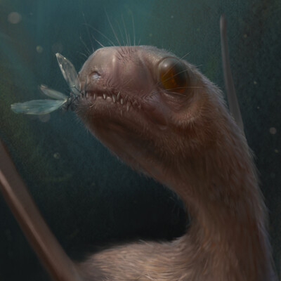Jeholopterus ninchengensis.