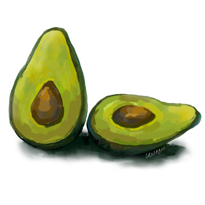 avocados sketch.