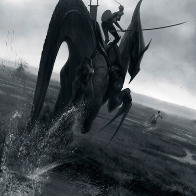 dark elven rider