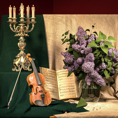 Still life with violin