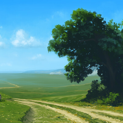 Road to the field