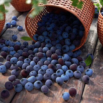 Bilberry