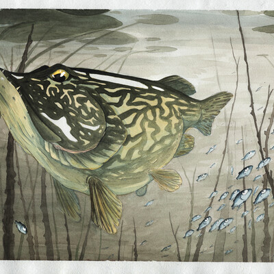 watercolor#1