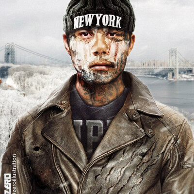 Concept "The division": Manhattan gangs
