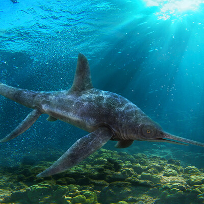 Eurhinosaurus