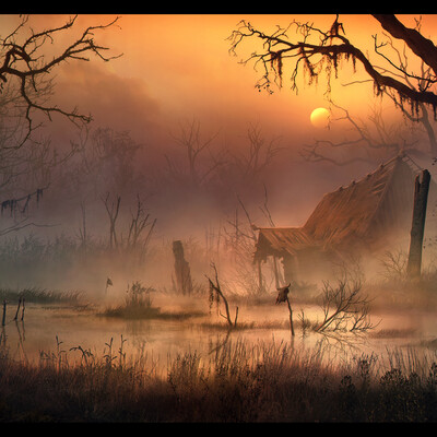 The swamp witch