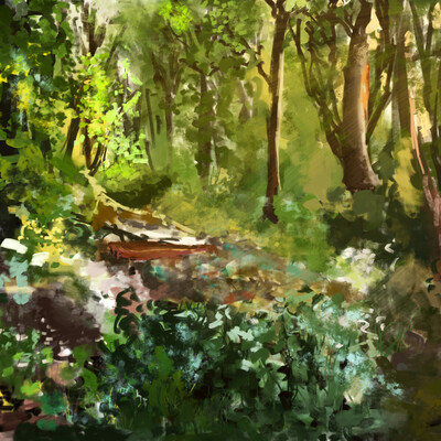 fairy forest
