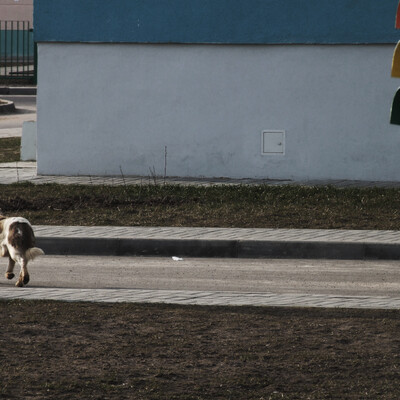Traffic light