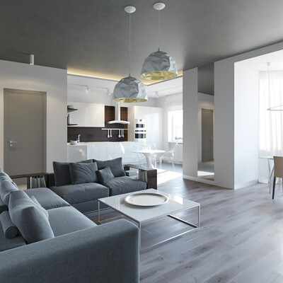 Apartment in Moscow (living room, kitchen, cabinet)