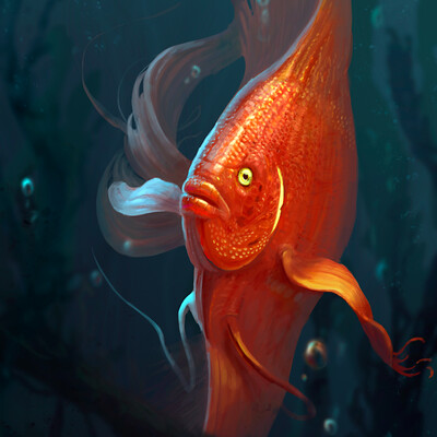 Fish 08 07 2016