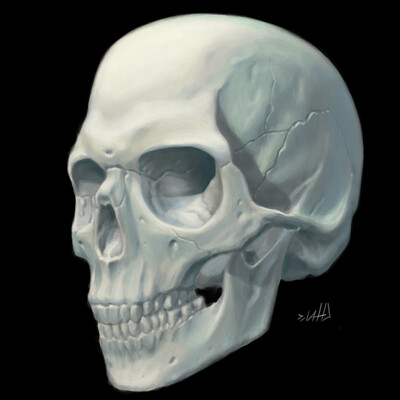 zero scull