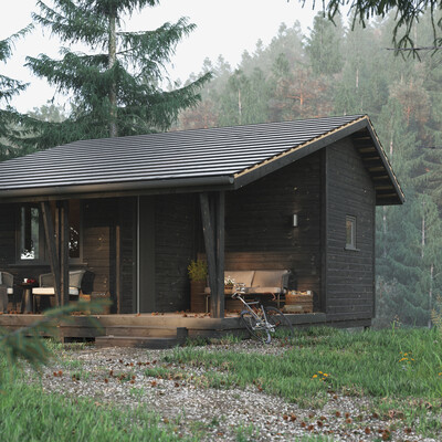 Morning in the forest