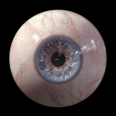 Eye