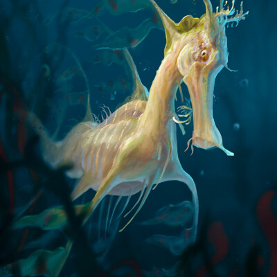 sea Horse