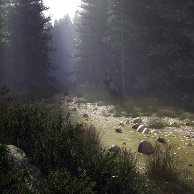 In the wood 