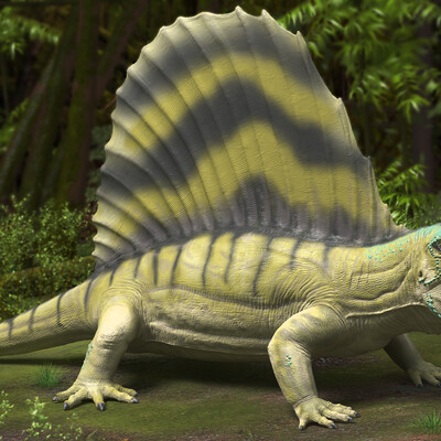 Dimetrodon grandis