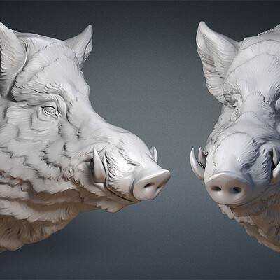 Wild Boar head. Sculpture