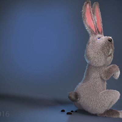 rabbit