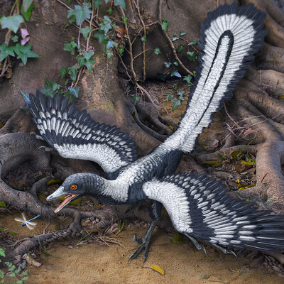 Archaeopteryx