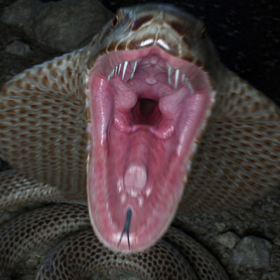 Snake