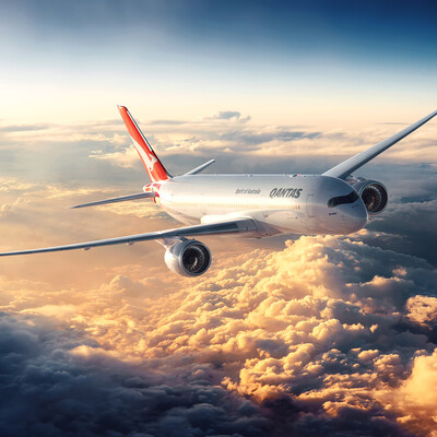 Flight of the bird