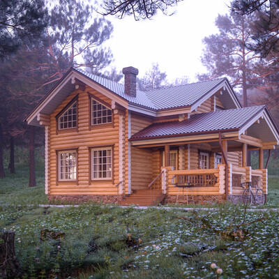 Shed in a woods 2 