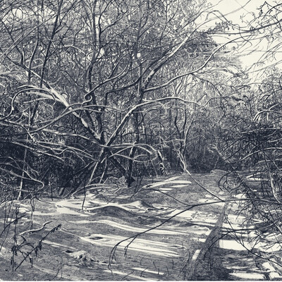 В лесу