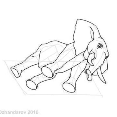 Lesson drawing of an elephant
