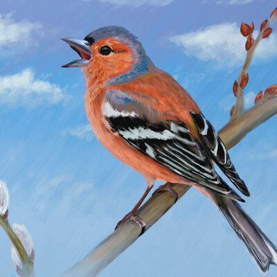 Finch