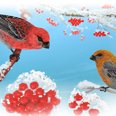 Pine grosbeak