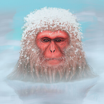 Snow monkey