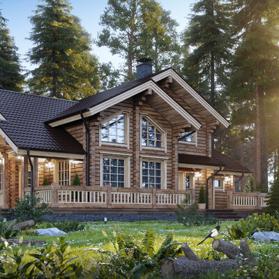  Visualization house in the woods