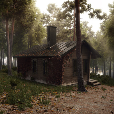 home on the mountain!