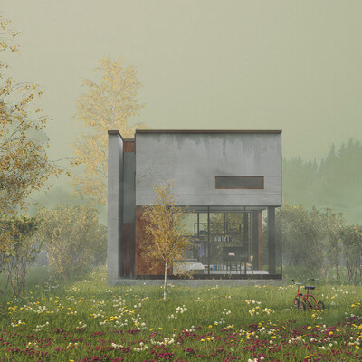 Misty house