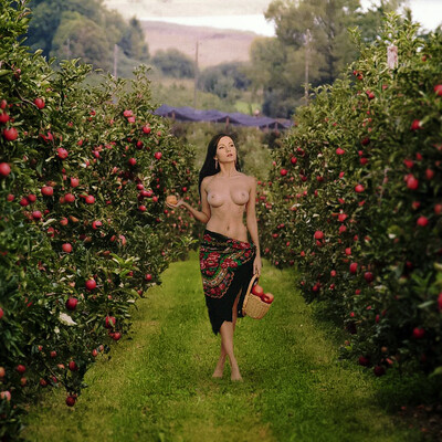 Apples