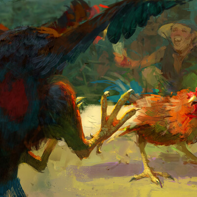 Rooster fight
