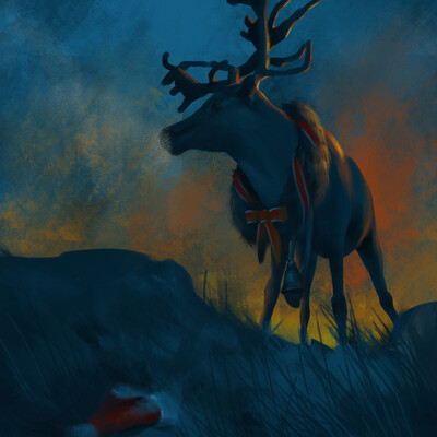 In search of Santa...