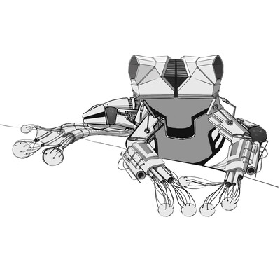 ROBOT-FROG