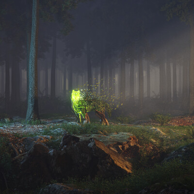 SPIRIT OF THE FOREST