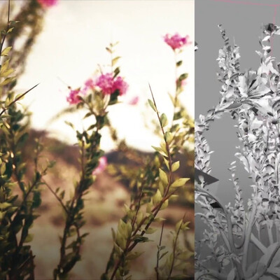 Landscape animation