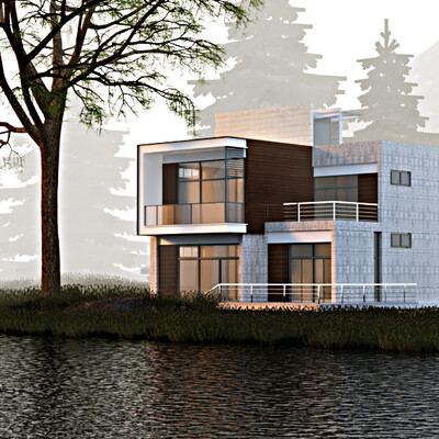 House in the fog