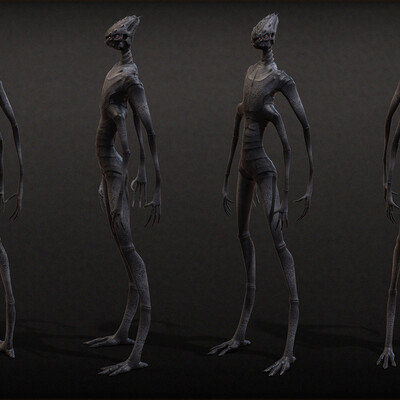 Karg race