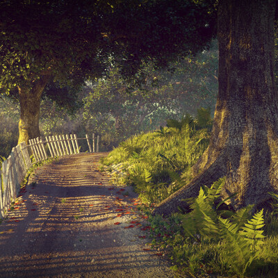 Forest