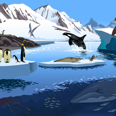 ANTARCTICA