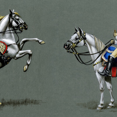 The French cuirassiers of 1812.