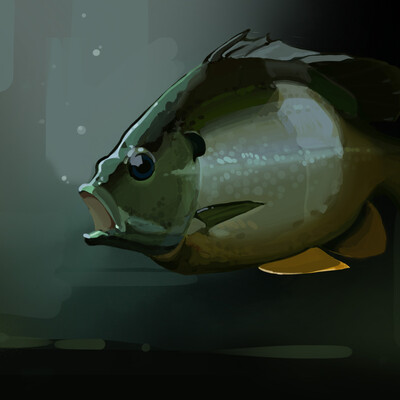 Small Fish